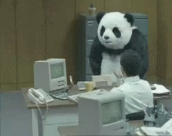 Outrage panda